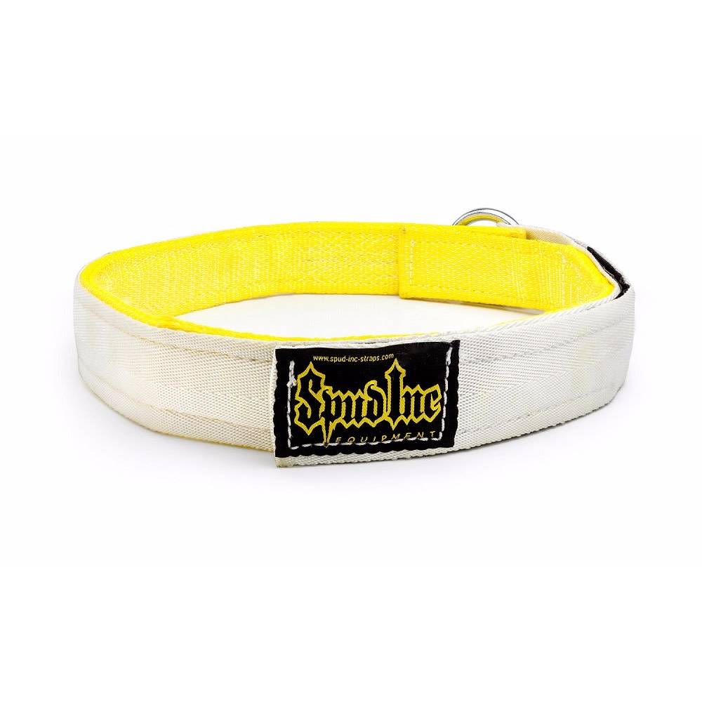 Bench Belt