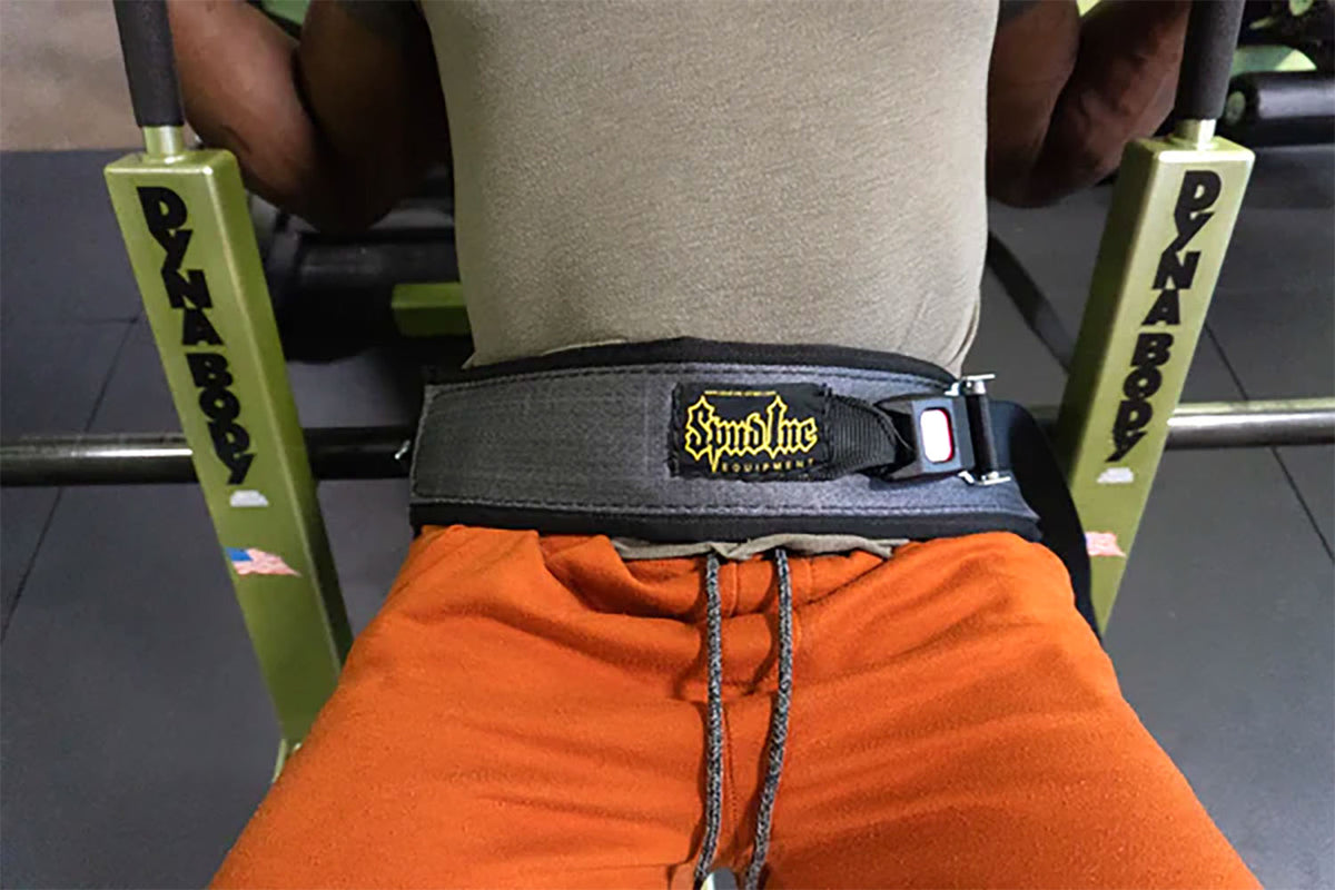 Pillow Belt Hip Drive Belt