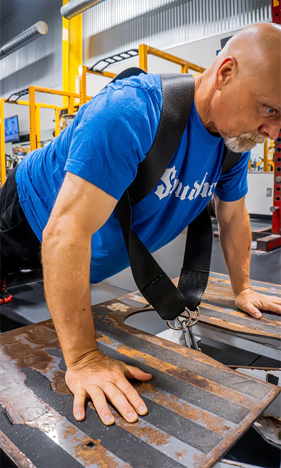 Push-Up Harness