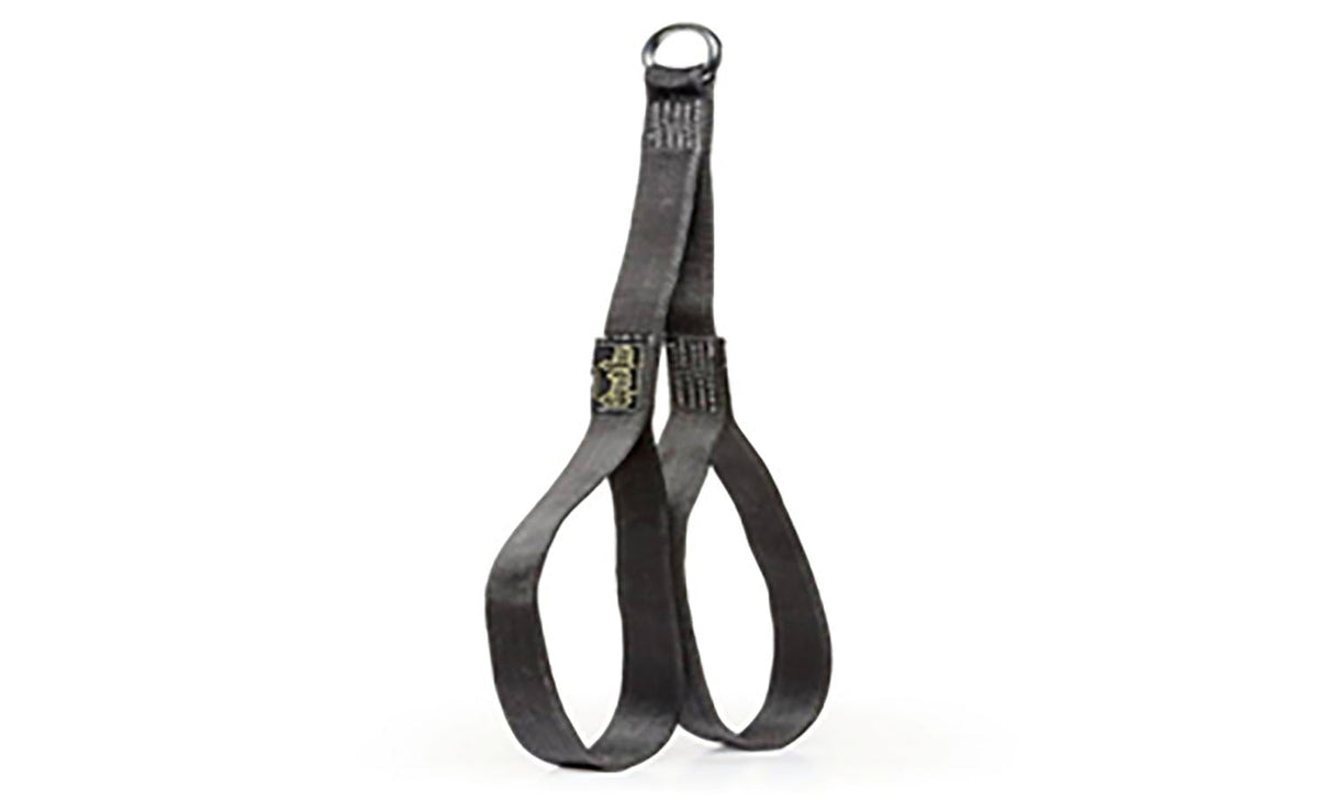 Short Ab Strap