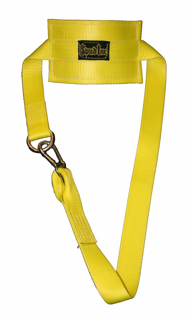 Dip Belt
